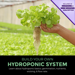 Build Your Own Hydroponic System