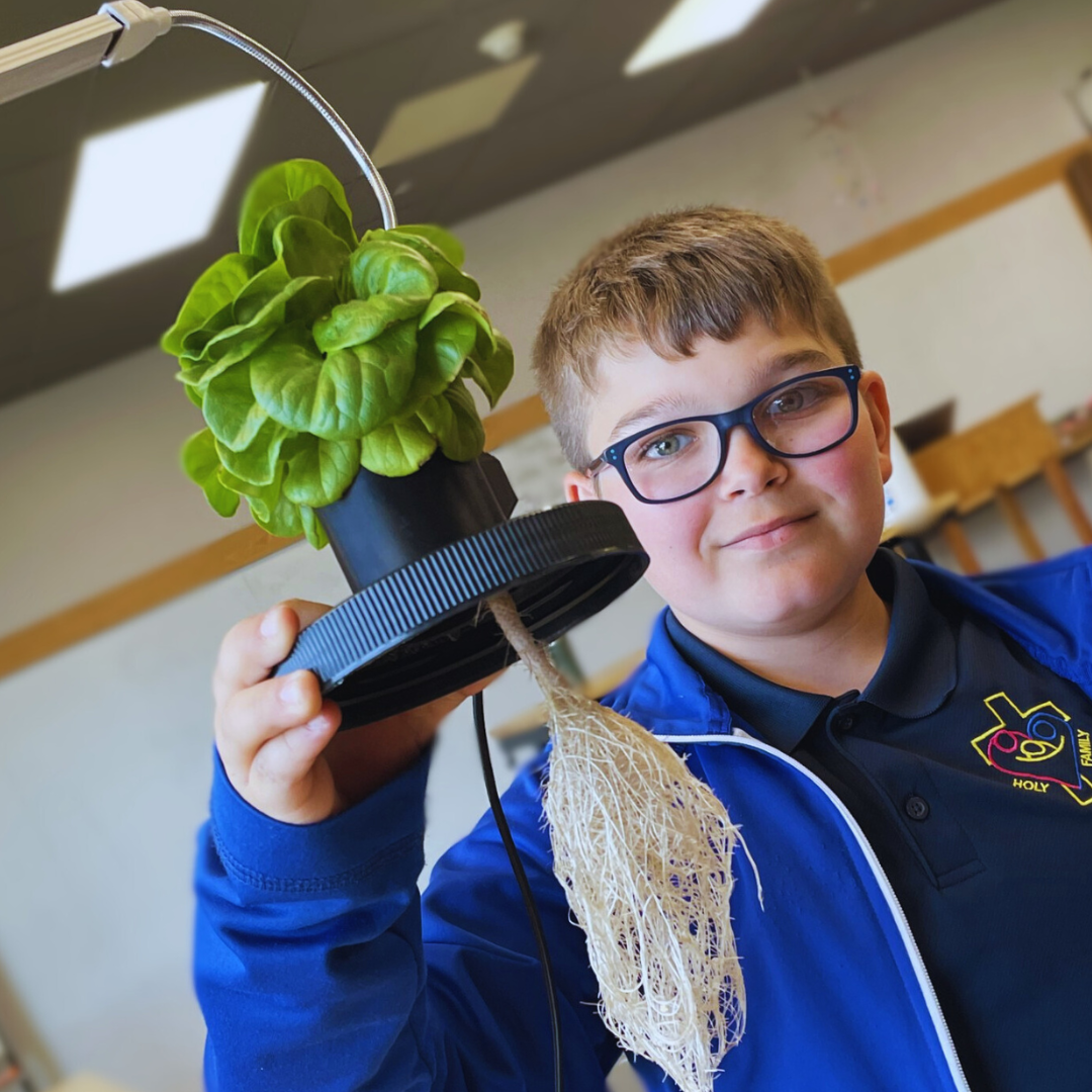Kids build a hydroponic system from a STEM kit to grow butter lettuce sustainably.