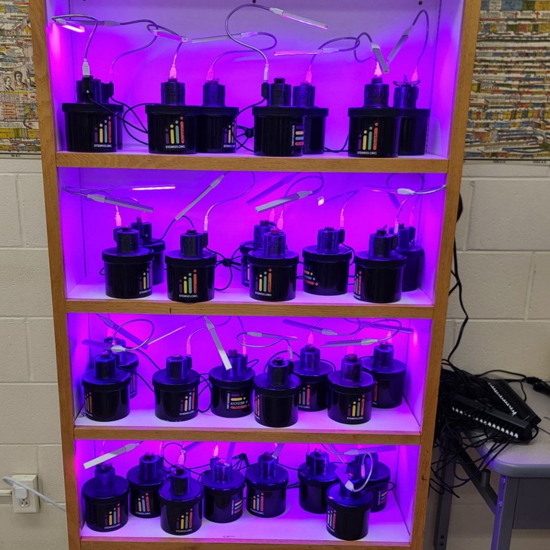 Kids build a hydroponic system from a STEM kit to grow butter lettuce sustainably.