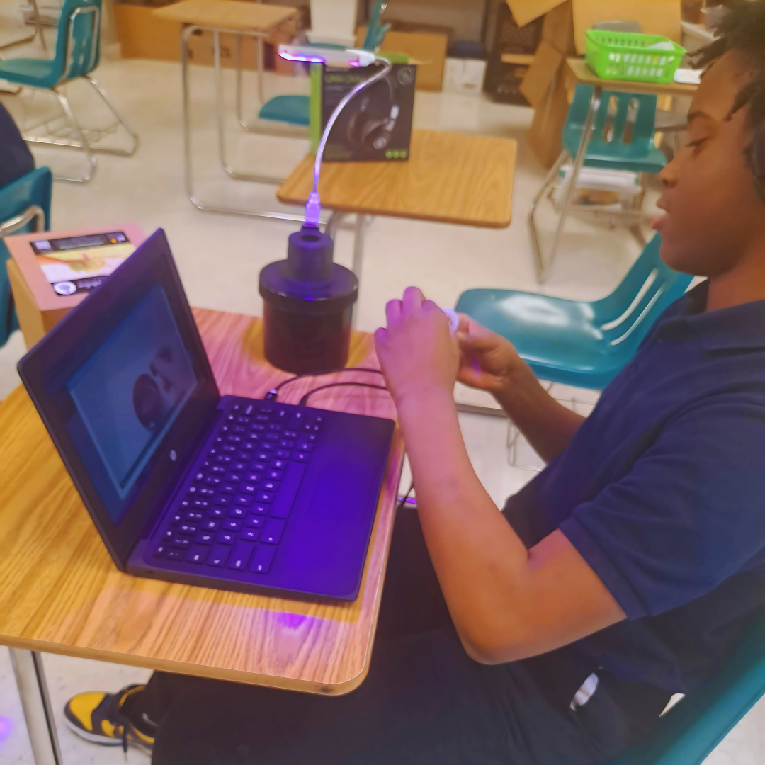 Kids build a hydroponic system from a STEM project to grow butter lettuce sustainably.