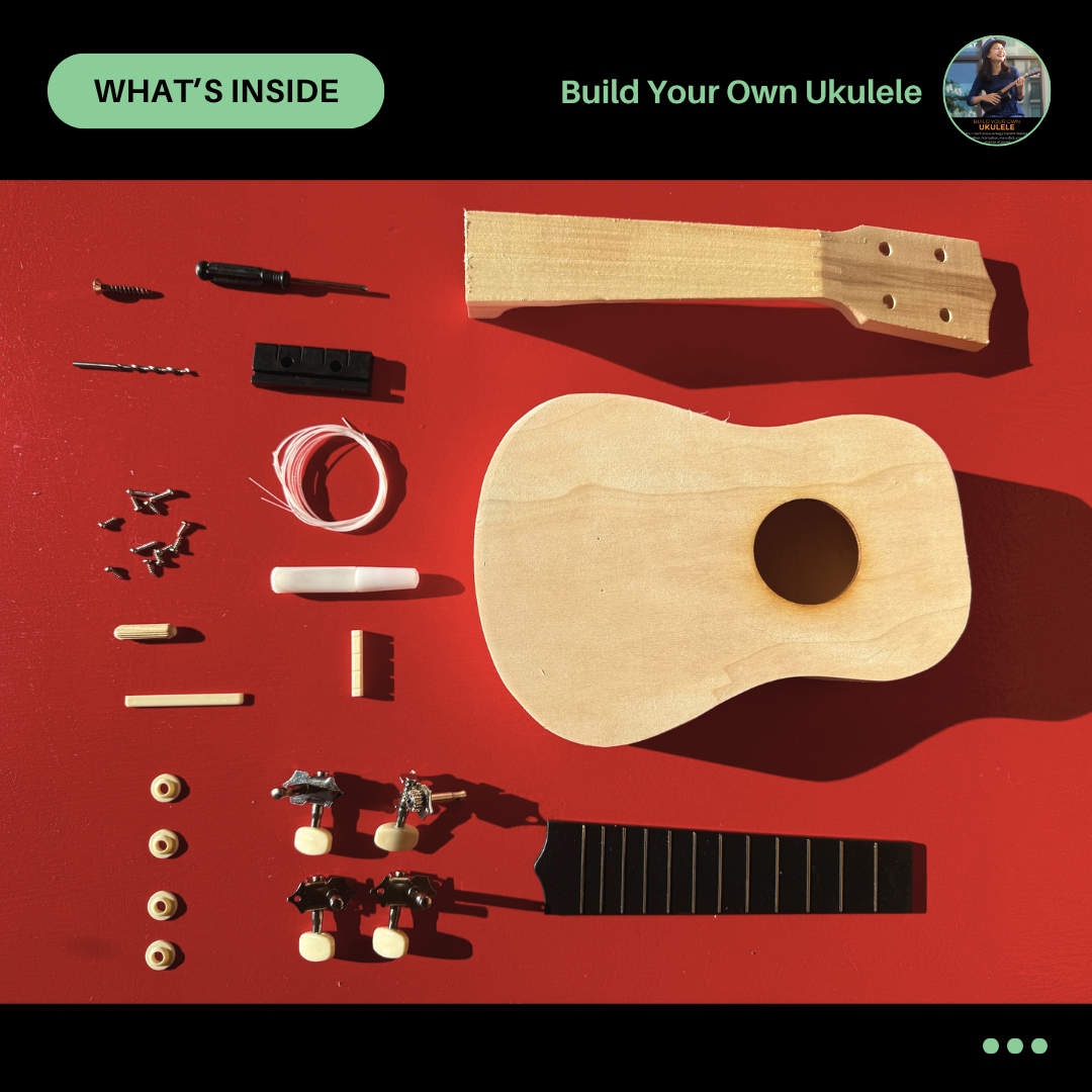 Ukulele Science kit Components